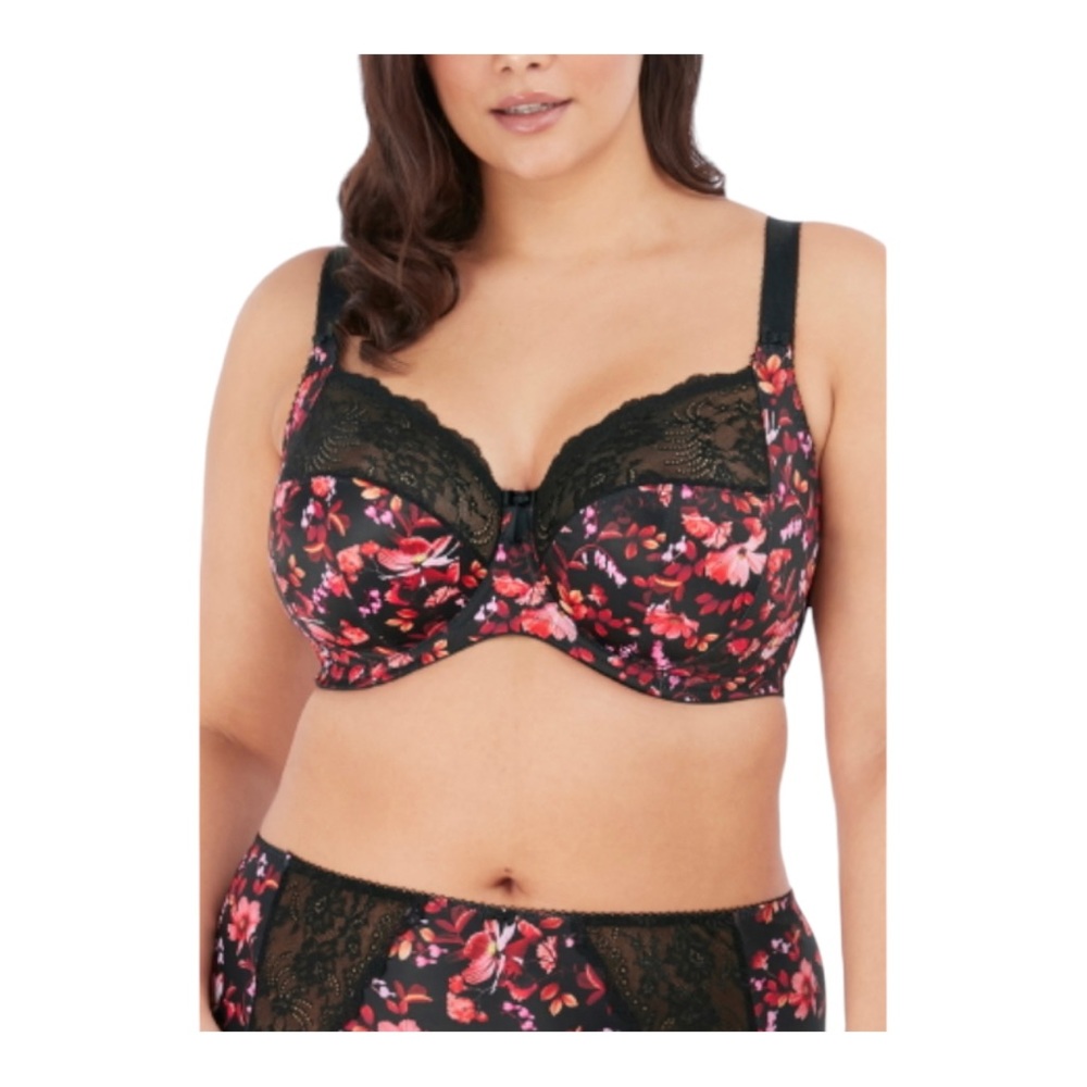 Elomi Morgan Stretch Lace Banded Underwire Bra Autumn Breeze size 36G